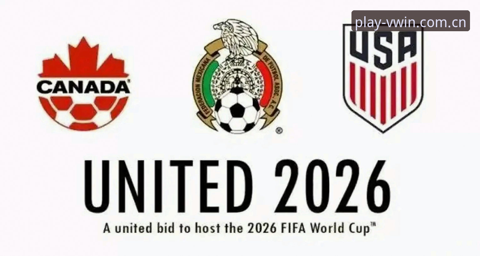 德甲势力为何在2026世界杯J组悄然集结？